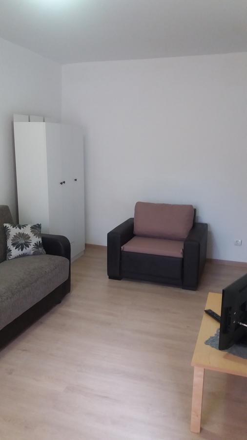 Studio Cora Διαμέρισμα Orşova Εξωτερικό φωτογραφία